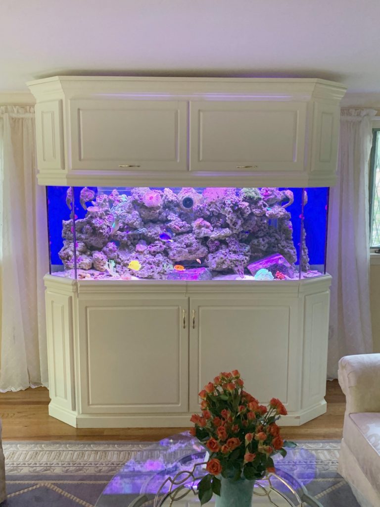 Custom "Living Reef" Saltwater Aquarium Creation of the Sea