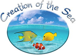 Creation of the Sea