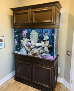 120-gallon Custom Saltwater Reef Aquarium for Home Office