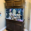 Living Reef Aquarium In Home Office