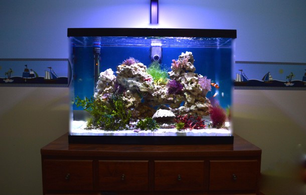 Furniture Top Reef Aquarium