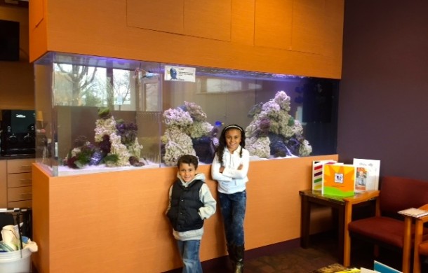 Custom See-through Saltwater Reef Aquarium in Office