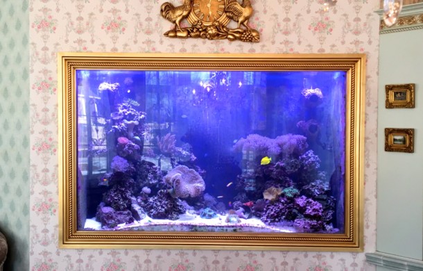 Custom Built-in (Picture Frame) Saltwater Aquarium