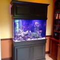 Saltwater Aquarium Testimonial #5