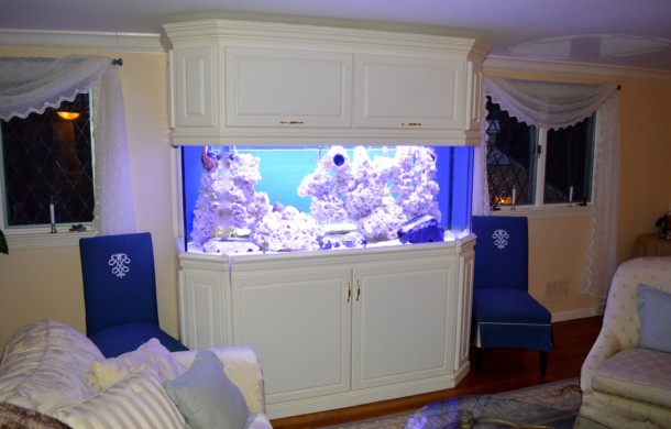 Saltwater Aquarium Installation – DAY 1