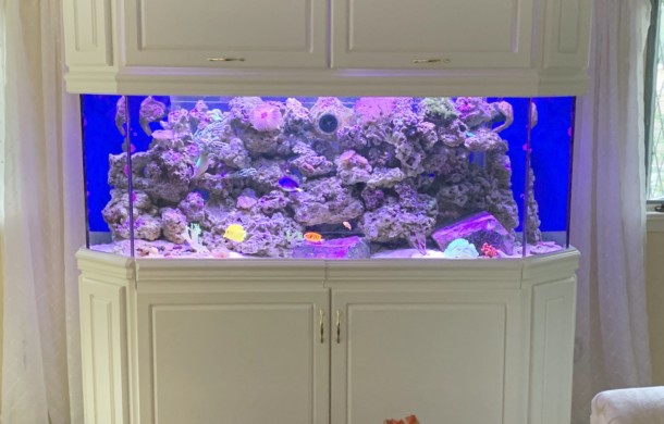 Aquarium Cabinetry