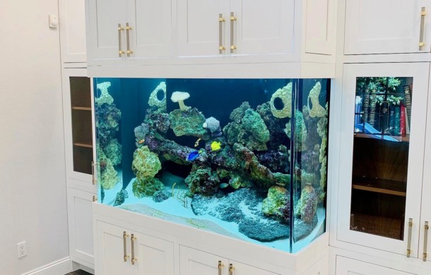 Custom Saltwater Aquarium