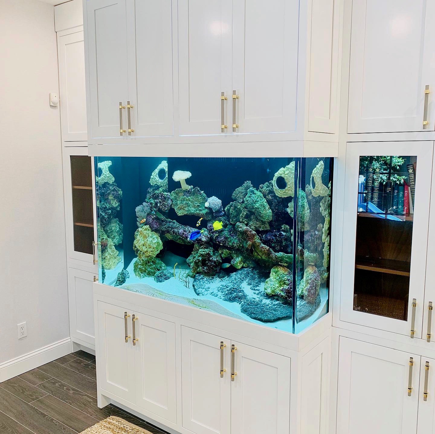 custom aquariums hawaii