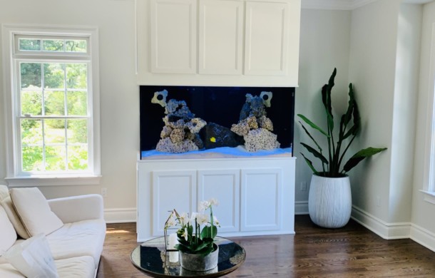 Custom Saltwater Aquarium for Zen Room