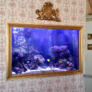 6-foot High Custom “Built-in” Saltwater Aquarium