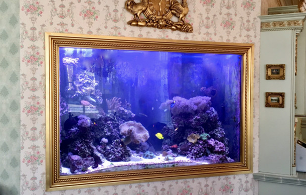 6-foot High Custom “Built-in” Saltwater Aquarium