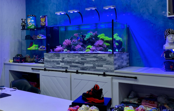 Custom Saltwater Aquariums