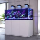 Red Sea REEFER and MAX Aquariums