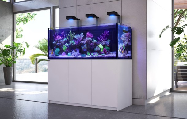Red Sea REEFER and MAX Aquariums